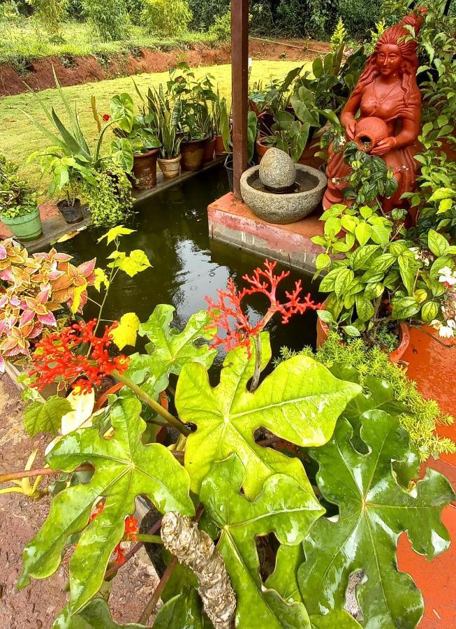 Coorg Coffee Park Farmstay Somvarpet Exterior photo