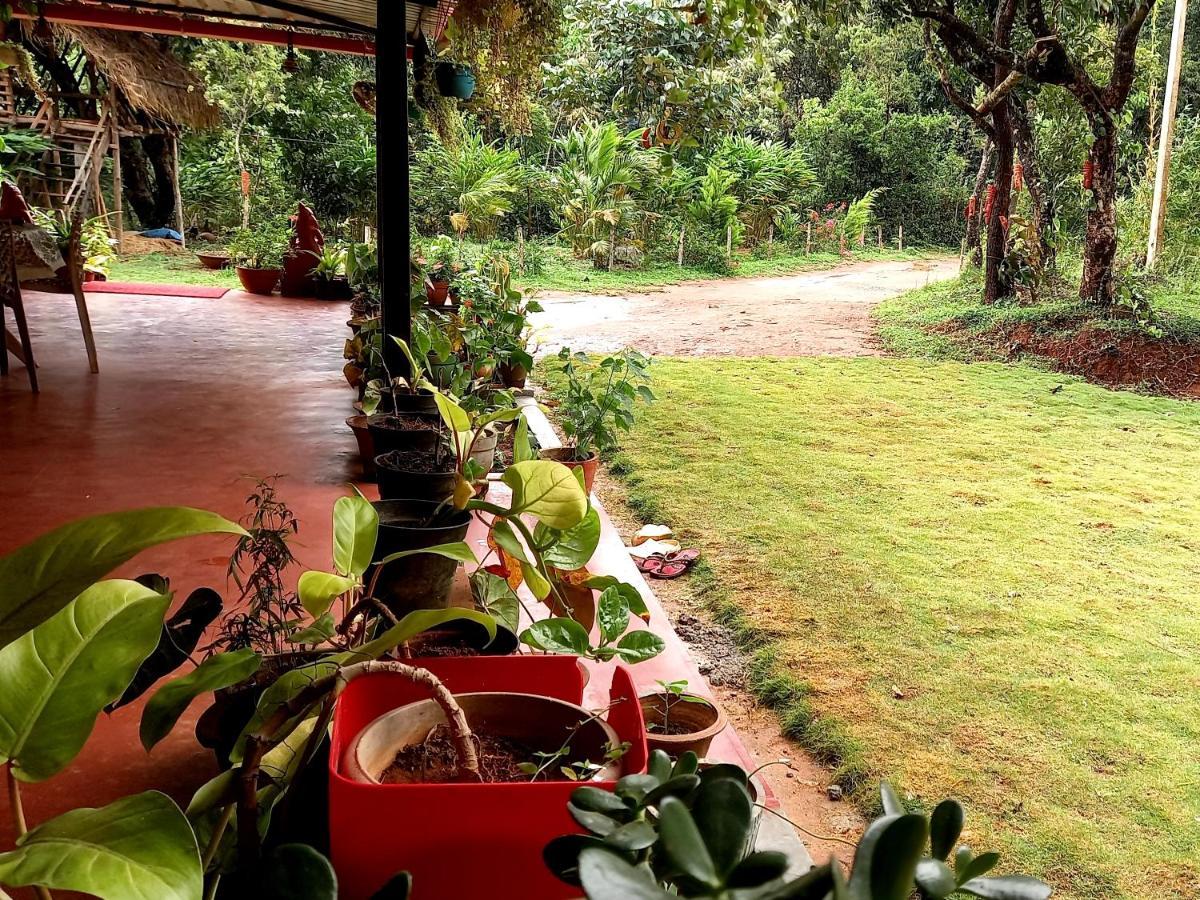Coorg Coffee Park Farmstay Somvarpet Exterior photo