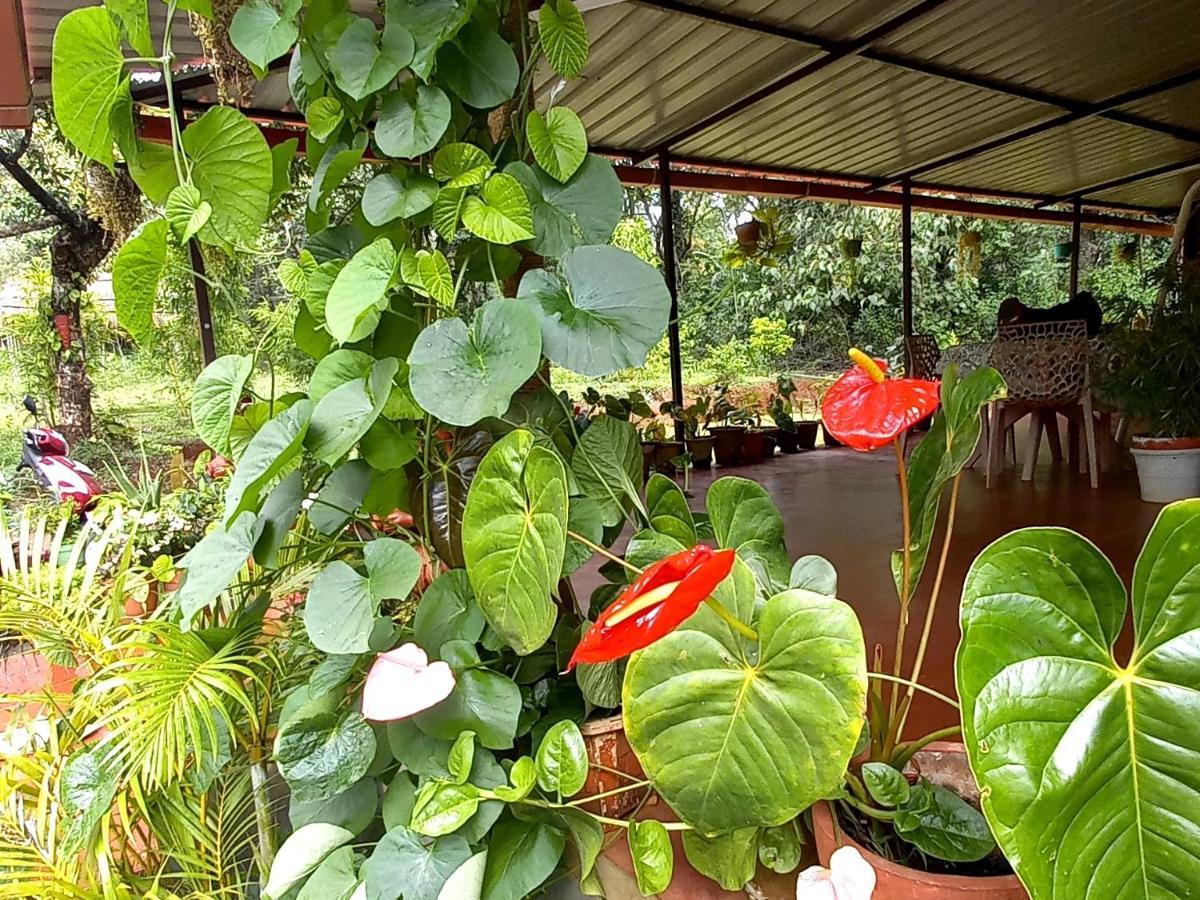 Coorg Coffee Park Farmstay Somvarpet Exterior photo