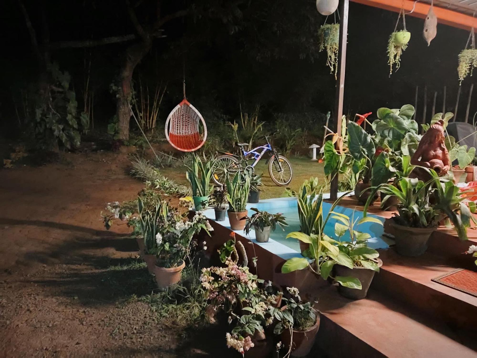 Coorg Coffee Park Farmstay Somvarpet Exterior photo